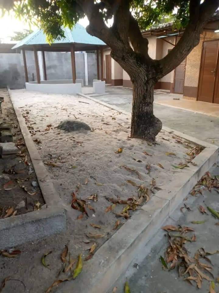  location à Cité houèyiho